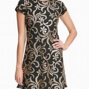 Kensie Sequin Shift Dress Size 6